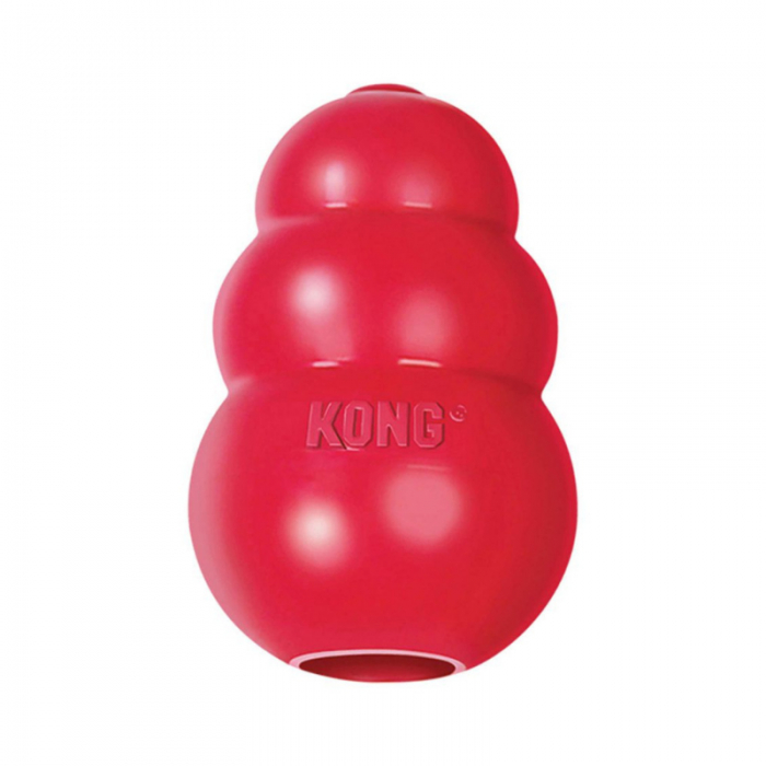 KONG 經典款中型犬玩具